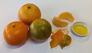 Foto: DAC/NRF Drei ganze Mandarinen in verschiedenen Reifegraden (grün, gelb, rotorange) neben Mandarinenschalen und einzelnen Fruchtstücken sowie eine Schale mit Mandarinenschalenöl